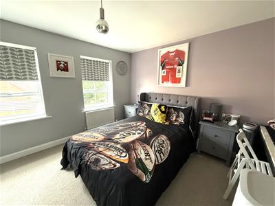 Picture 17